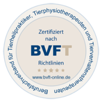 logo_bvft_web_250